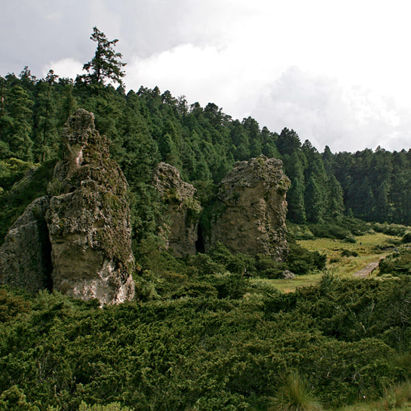 Parque Nacional El Chico